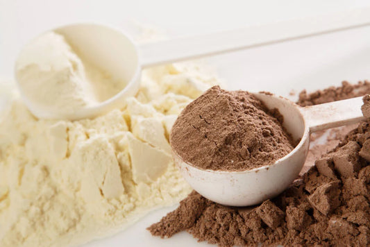 Whey Protein ou Albumina: Qual Escolher?